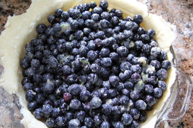 Blueberries in pie