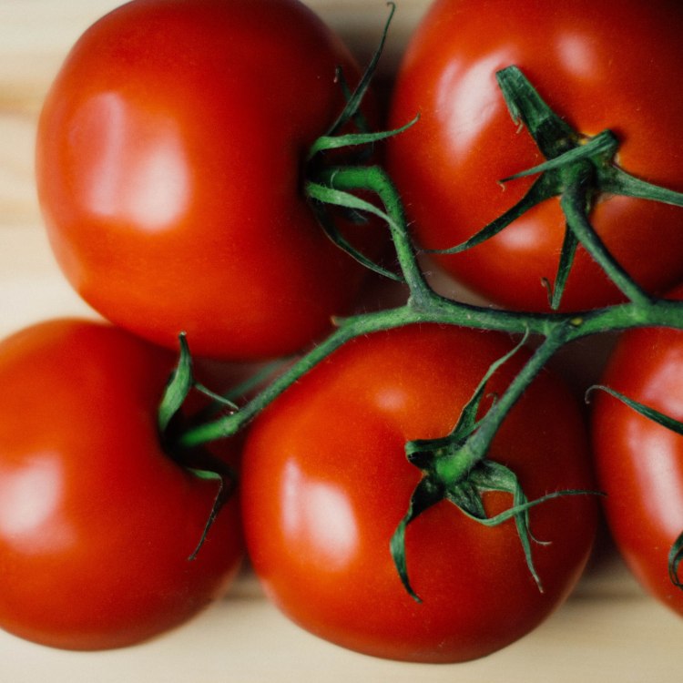 food-tomatoes-vegetable-8390